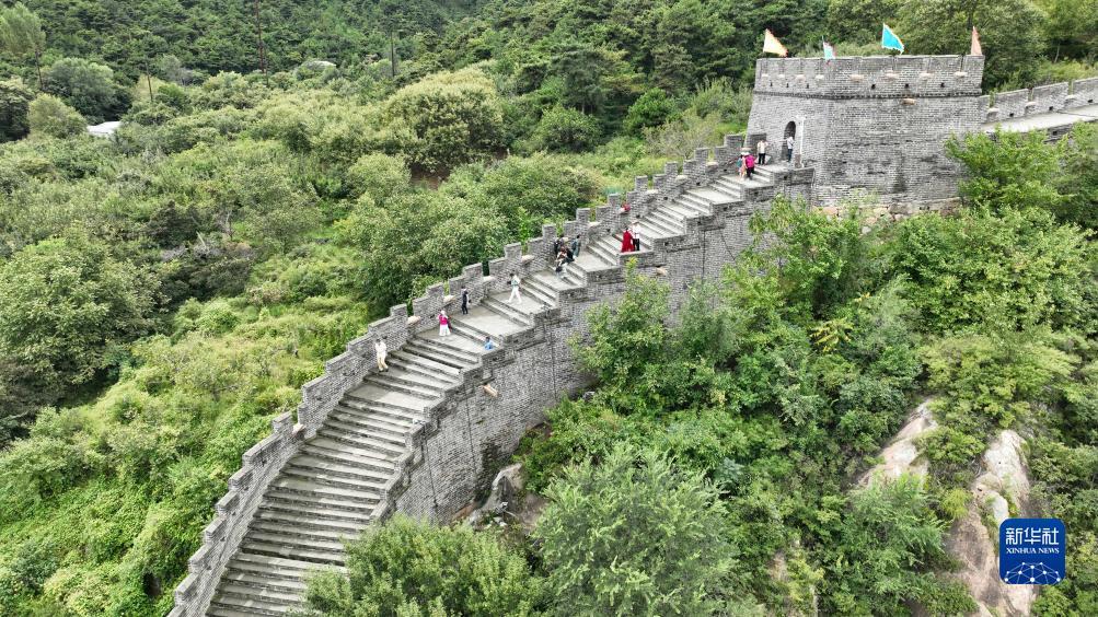 奔驰游戏网址是多少